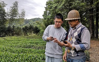 卖茶、服务加盟商……钉钉低代码蹿红，中小企业数字化有盼头了