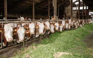 DIY游戲玩家和黃牛的恩怨情仇  若一元不降便一戰不休