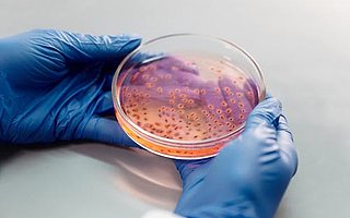 有錢理財卻無錢經營？ 最新IPO的諾唯贊業績有點不穩定