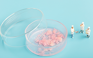 資本熱捧，消費者冷淡，人造蛋白的冰火兩重天