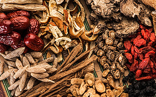 合作與創新齊頭并進，加速中醫藥揚帆海外