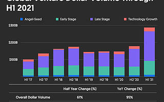 上半年全球风投破纪录达2880亿美元，新增250家独角兽|全球快讯