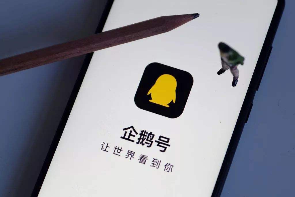 企鹅号黎明计划怎么参加?-创头条