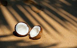 凈利潤連續4年下滑 凱撒旅業入局飲品市場推出“覓小椰”