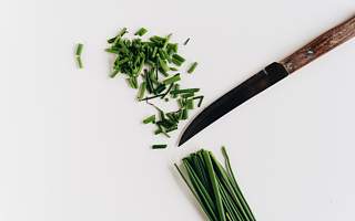 ​游戏厂商频祭情怀杀招    当年的“韭菜”来回割