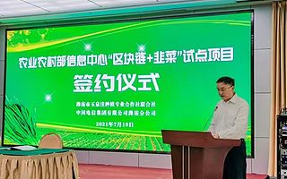 山東濰坊：“區塊鏈+韭菜”試點項目正式啟動