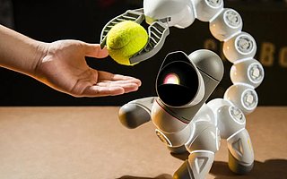 消费级机器人平台可以科技​获数千万美元 B 轮融资