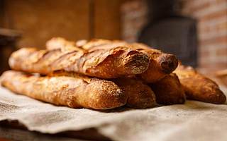 桃李面包發布業績快報 上半年凈利潤同比下降11.57%