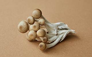 华绿生物上半年净利预降超9成 受销售端和采购端市场影响大