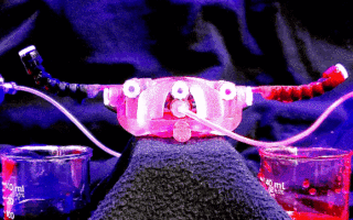 不到90秒轻松玩过第一关，这款3D打印软体机器手，竟是超级马里奥的高级玩家