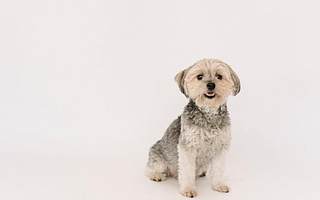 生泰尔曾因客户集中度低被否 如今客户集中度提升毛利率却下降