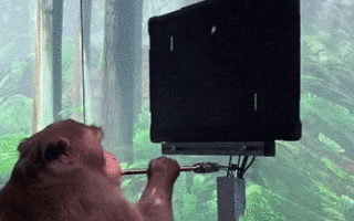 第一只独角兽诞生！这里，红杉IDG来了