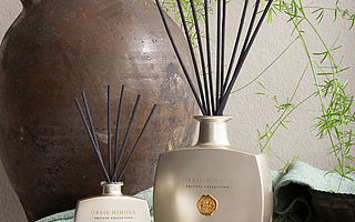 香氣正在成為年輕人的社交密碼，進口香氛消費加速增長