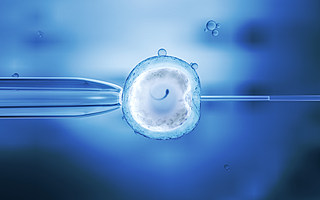 三孩風口下，輔助生殖技術會成為高齡育兒的“造娃稻草”嗎？