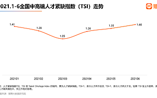 猎聘发布 2021 上半年中高端人才就业数据研究报告