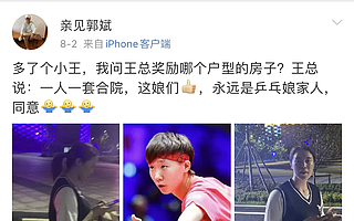 王楠夫妇要给奥运国乒冠亚军送7套房！曾出力打造体育小镇