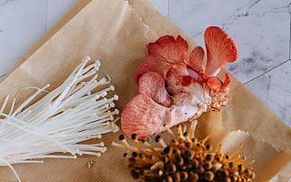 金针菇价格下降 雪榕生物上半年预亏9000万元