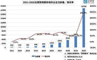 金毛Siri托運致死事件背后：我國去年寵物服務企業注冊量暴漲246.9%