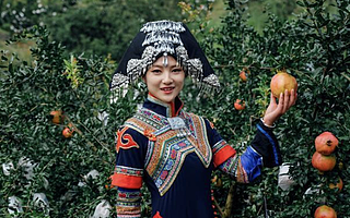 果客邦水果货源供应链平台上线助农新模式：水果产地直采+一件代发