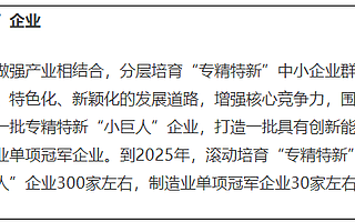 上海：到2025年“專精特新”小巨人企業(yè)增至300家