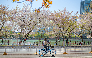 哈啰出行成立五周年，注册用户接近 5 亿人