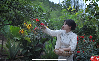 斷更的“李子柒”，心慌的李佳佳