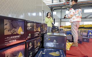 区块链农村信用平台入选国家创新试点 蚂蚁链提供技术支持