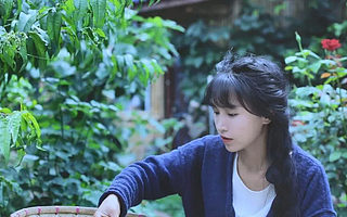 李子柒停更風波：將MCN與孵化IP之間利益分配擺上臺前