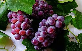 這個(gè)十一，我實(shí)現(xiàn)了“葡萄中的愛馬仕”自由