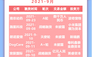 一只狗直播月入百萬，寵物經濟太氪金