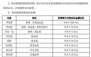 新綸新材高管集體增持：總裁廖垚將增持2000萬元股票 去年虧損12.9億