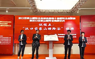 武汉首个瞪羚企业谷在岱家山科创城揭牌