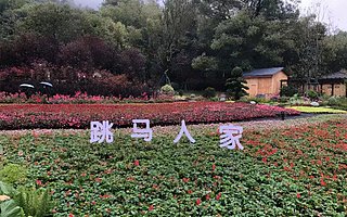 省花博會，或將成為跳馬百億產業的跳板