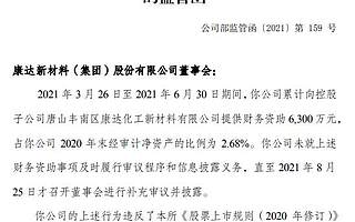 康達新材違規向子公司提供6300萬元財務資助 董事會被出具監管函