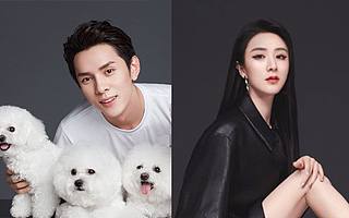 直播带货，必然是个高度头部化的生意，绝大部分人都赚不到钱