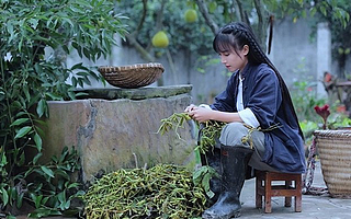 停更三個(gè)月后，李子柒決定狀告“老東家”