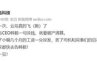 配送平臺云鳥科技或將破產清算，已拖欠全國多地員工薪資