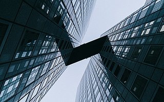 慢生意时代，“猪”要习惯没有风口的日子