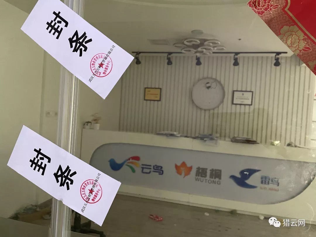 昔日独角兽“破产清算”，云鸟科技员工亲述惊魂三日