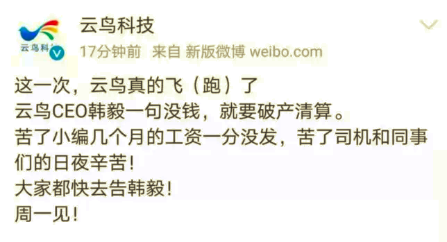 昔日独角兽“破产清算”，云鸟科技员工亲述惊魂三日