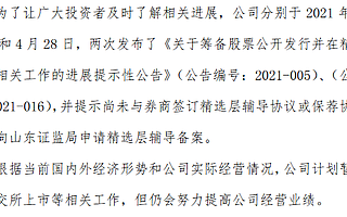 大亞股份稱根據(jù)國(guó)內(nèi)外經(jīng)濟(jì)形勢(shì)暫緩北交所上市:籌備20個(gè)月未進(jìn)入輔導(dǎo)期