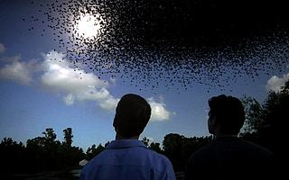 2家獨角獸,百名科學家,VC/PE扎堆合肥“量子一條街”