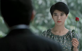 一朵玫瑰花的情人節之旅