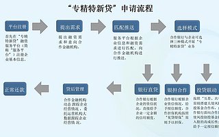 無需資產抵押,河南推全國首個政府參與風險補償的“專精特新貸”