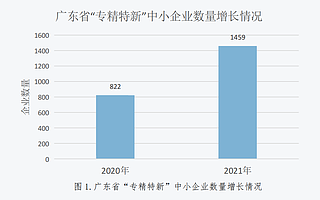 阿里云加速器携手创头条发布《2022大湾区专精特新“小巨人”企业发展研究》报告