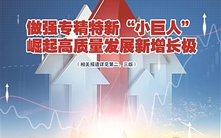 朱宏任：以“专精特新”推动广大中小企业成为保稳促进的生力军