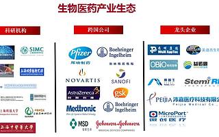 首期40億元，海望醫療健康產業基金啟動