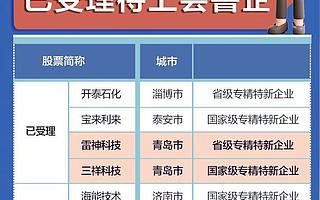 北交所加速擴容!山東8家公司排隊上會,7個是“專精特新”