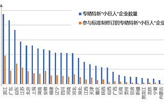 深度解读：专精特新企业标准化现状与成长路径