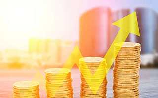 瘋狂!這家中概股上市15天上漲50倍、市值740億美元